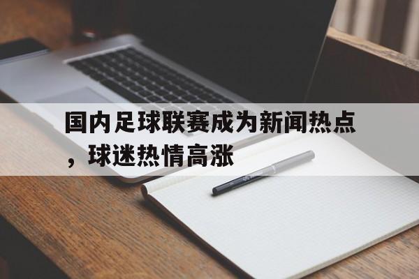 国内足球联赛成为新闻热点，球迷热情高涨