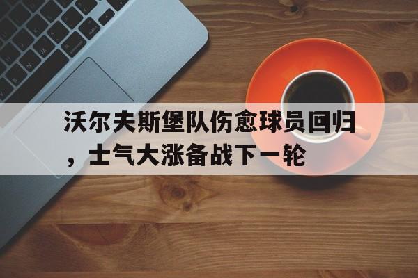 沃尔夫斯堡队伤愈球员回归，士气大涨备战下一轮