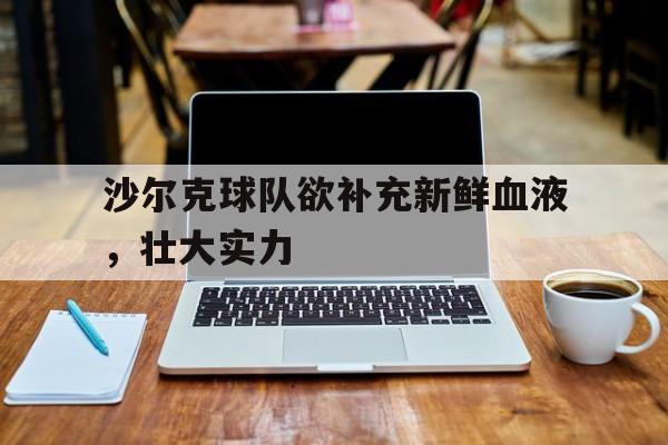 沙尔克球队欲补充新鲜血液，壮大实力